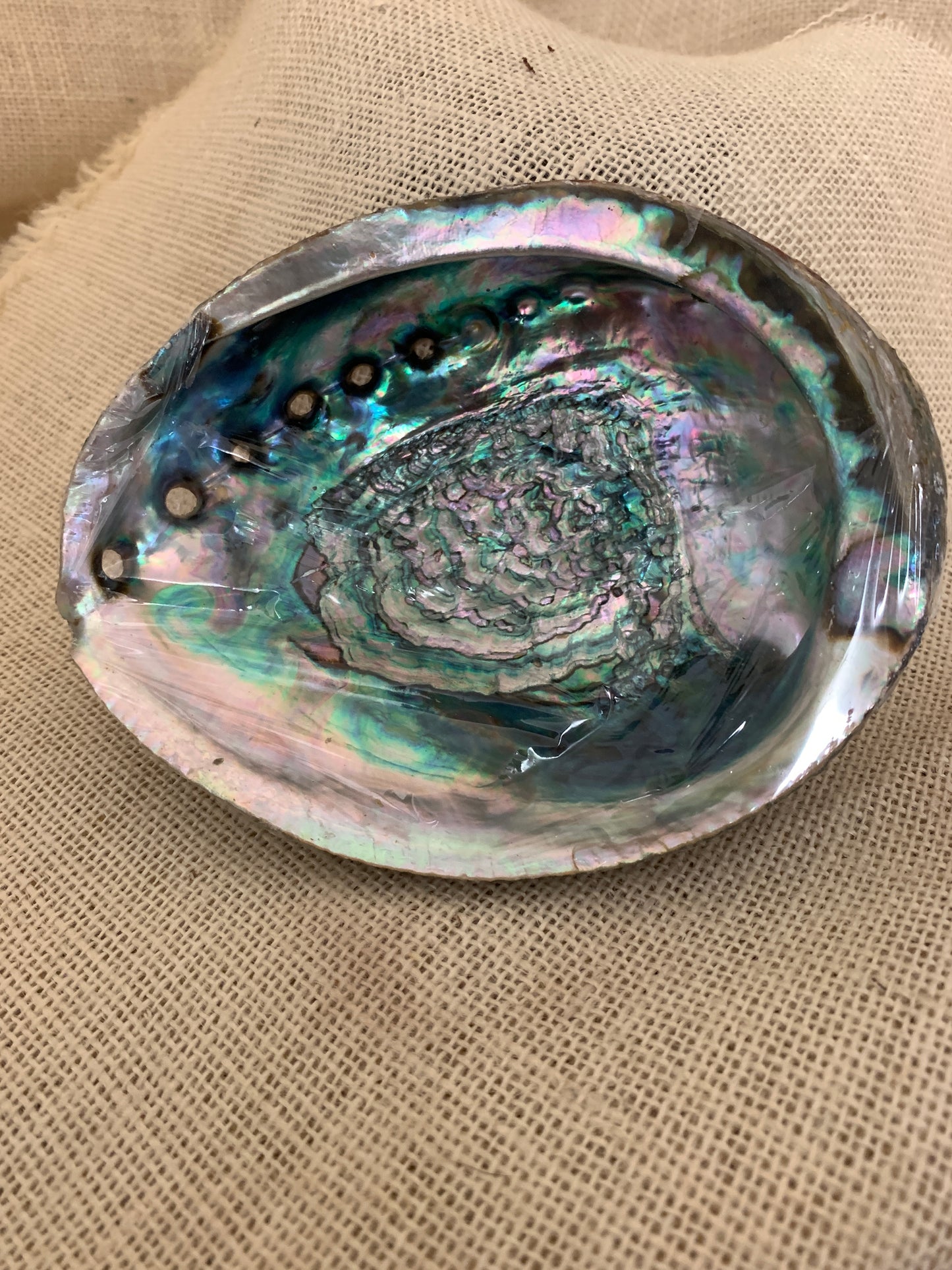 Abalone Shell Smudging Dish